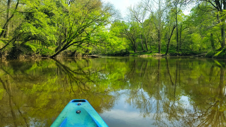 Family kayaking down the Tar River on a sunny day.