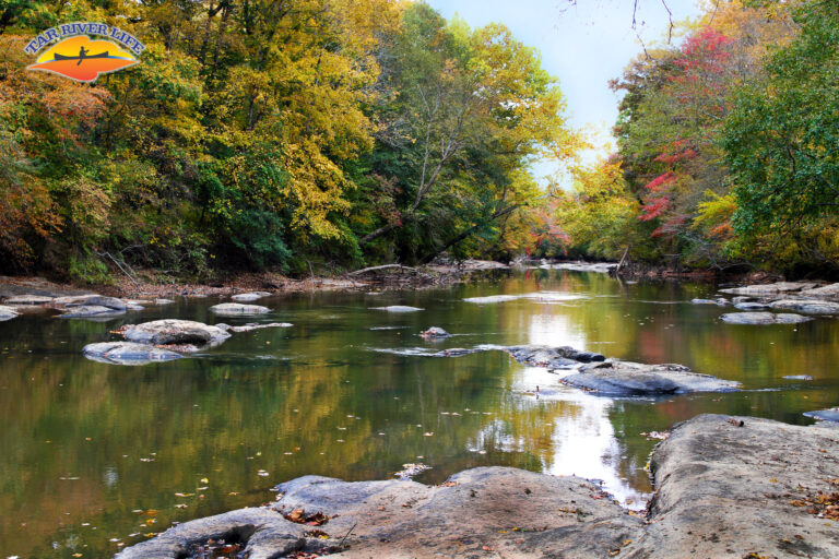 The Tar River, ready for a family stay.